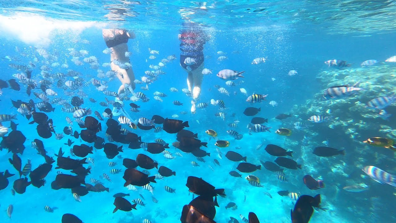 Classic Island & Snorkeling Trip — 1